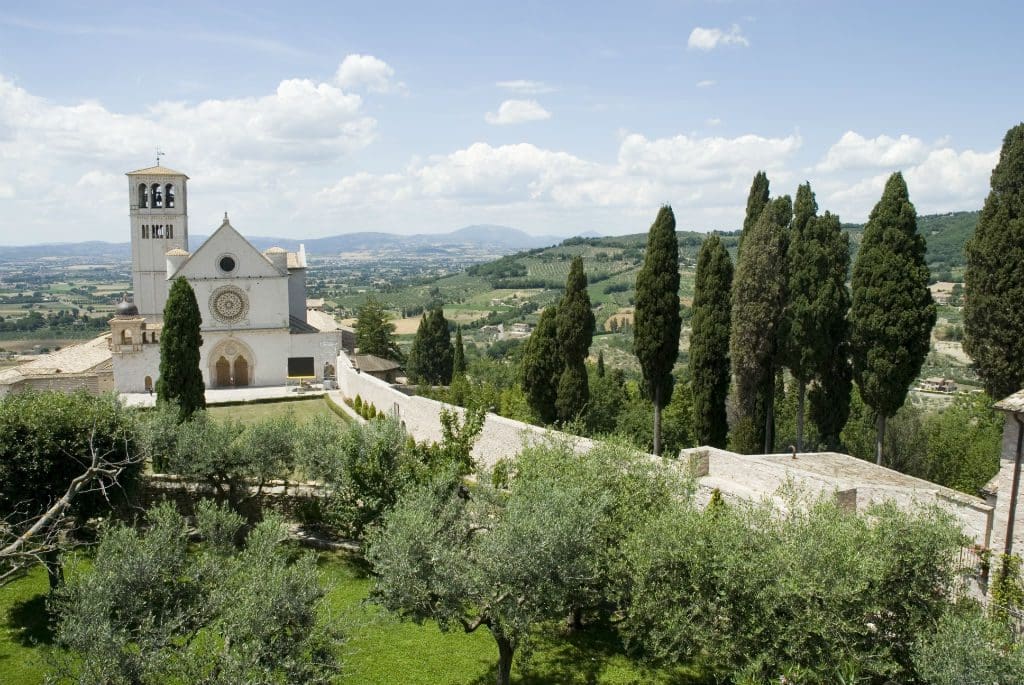 BASILICA-E-BOSCO