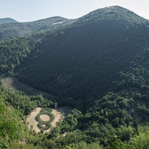bosco-fai3