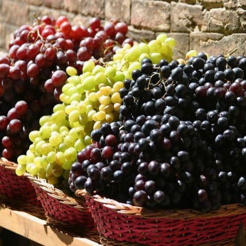 grappoli-uva