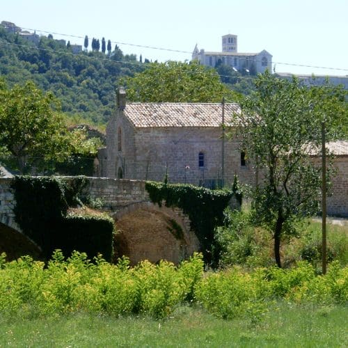 ASSISI BOSCO