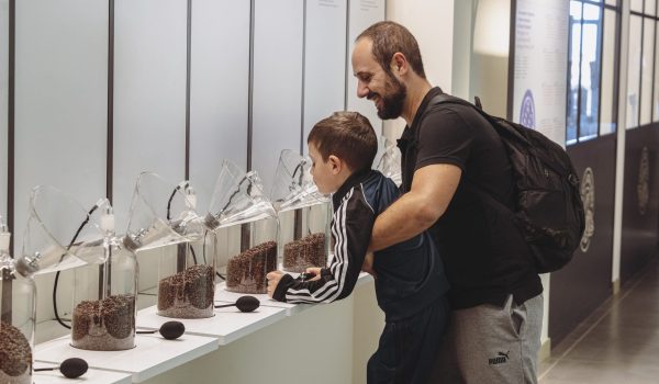 Museo - Annusare cacao